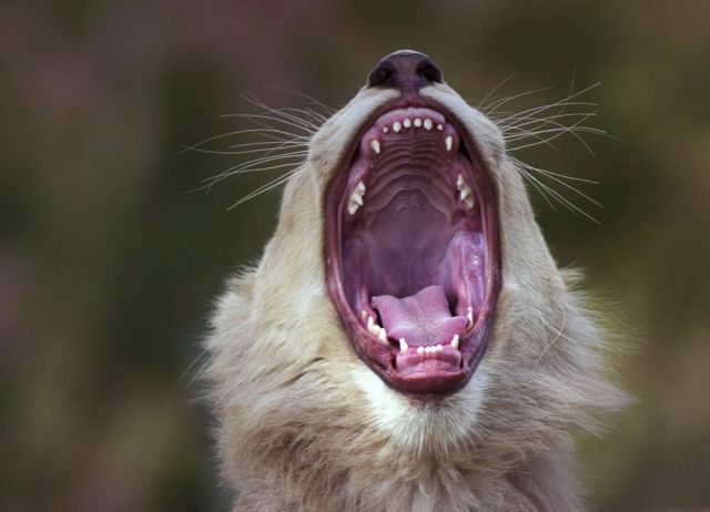 Η ημέρα σε φωτογραφίες (3 Αυγούστου 2012)